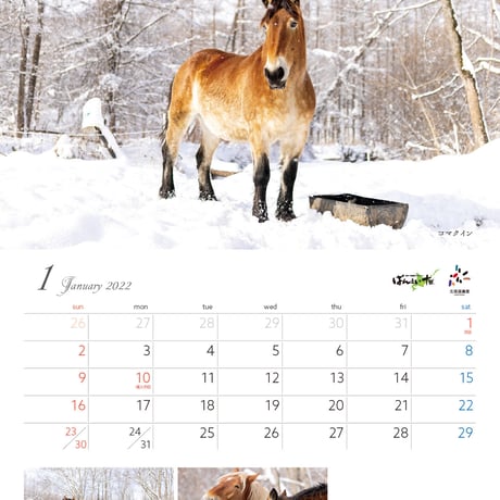 ばんえい競馬2022カレンダー 「あふれる愛を」
