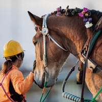 ばんえい競馬2025カレンダー「夢の軌跡」