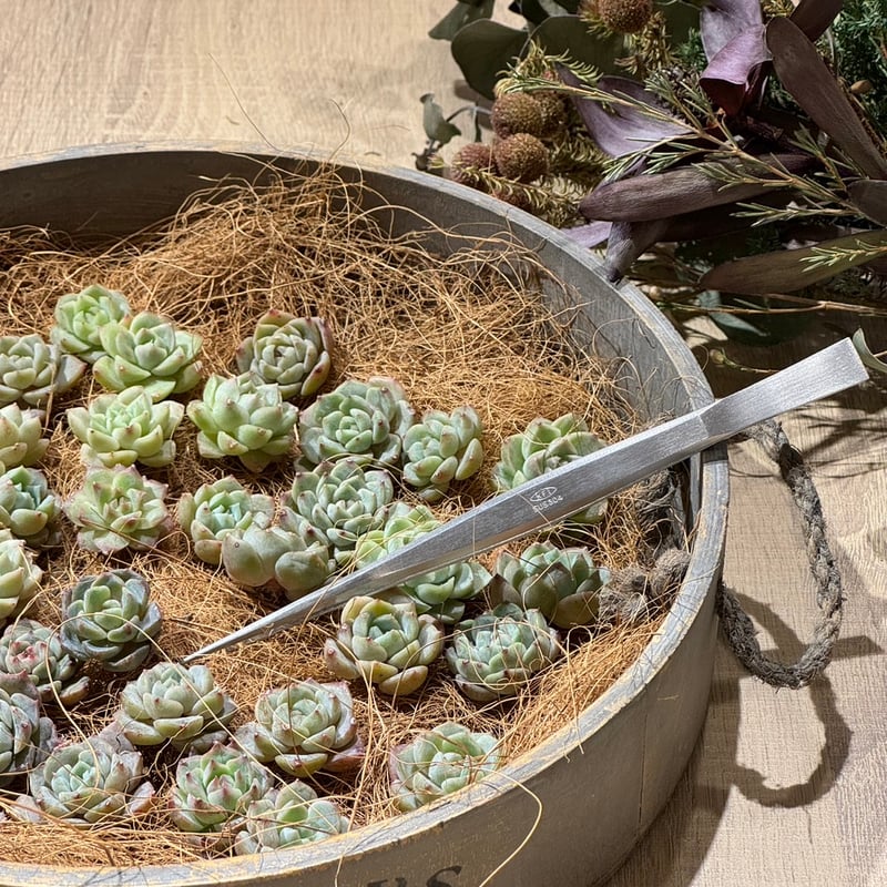 寄せ植えに最適なKFIピンセット K-34 | notre atelier