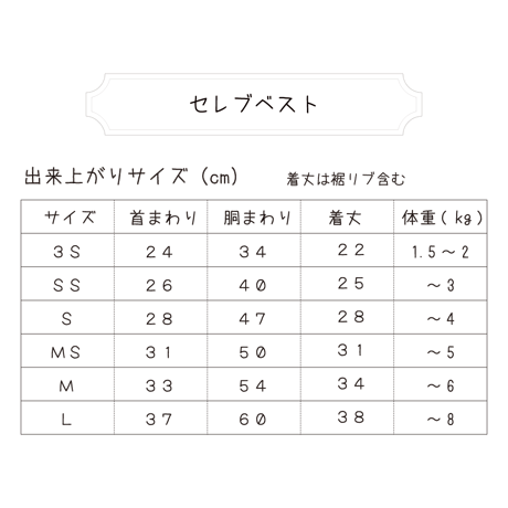 セレブベスト型紙-JK001