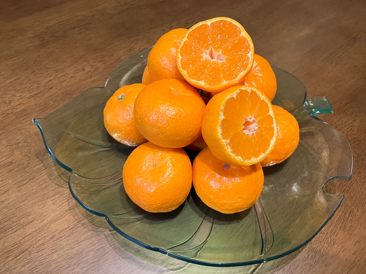 贈答用 有田みかん 15kg（和歌山みかん箱） | みんなのふぁーむ