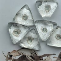 Petal frost