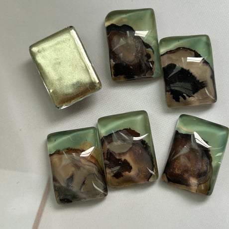 oyster moss