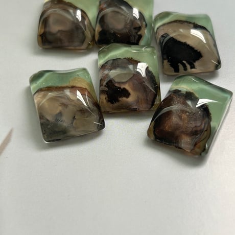 oyster moss