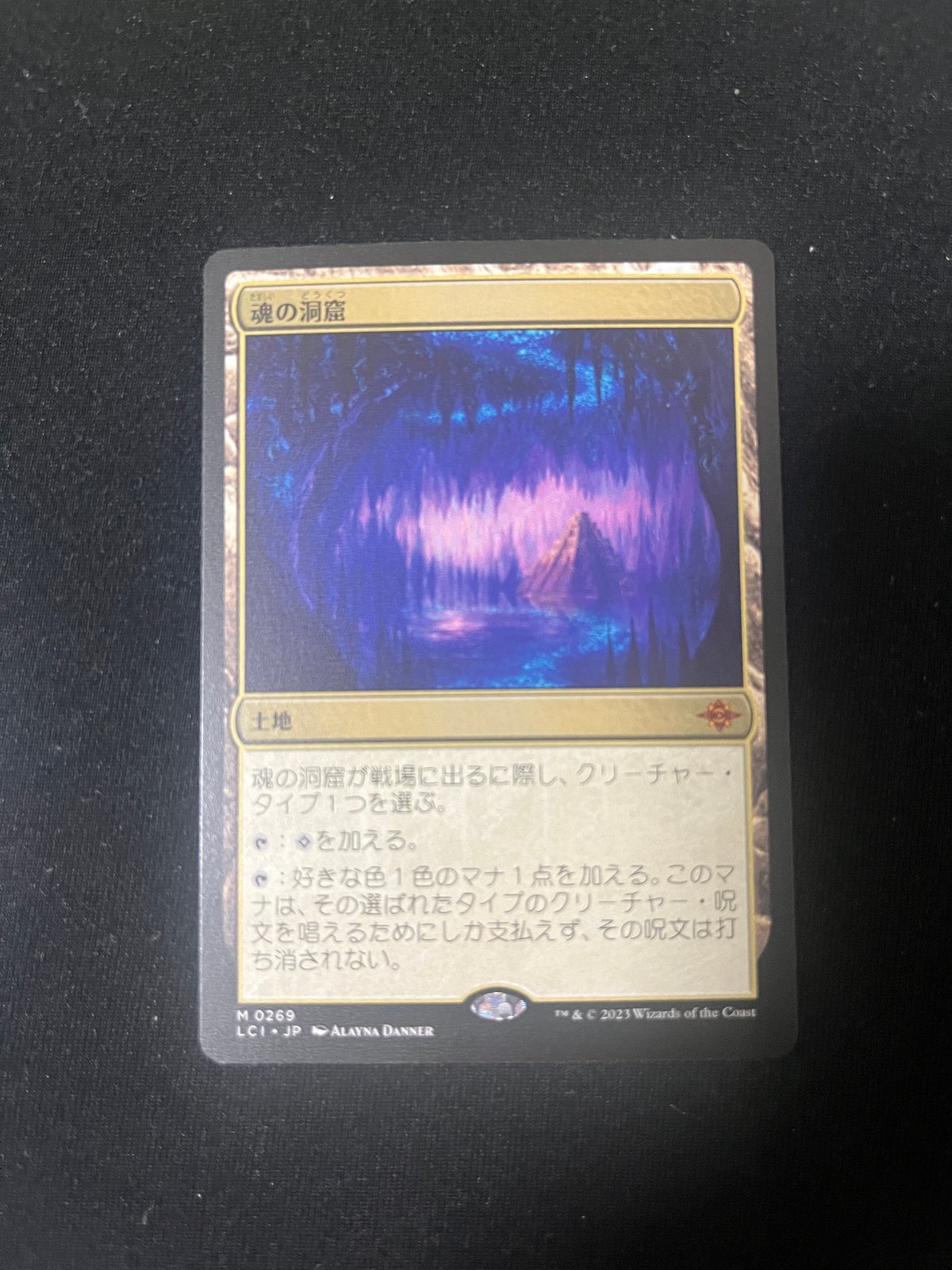 MTG 魂の洞窟 日本語 LCI 269 269)《魂の洞窟/Cavern of Souls》[LCI] | トレカのタニナカ