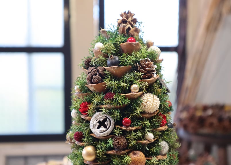 追加分残り1】新作♪天然シュガーパインコーンのツリー | TAUTOU LOCOCO