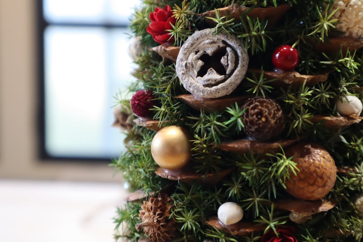 追加分残り1】新作♪天然シュガーパインコーンのツリー | TAUTOU LOCOCO