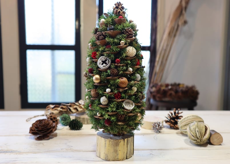 追加分残り1】新作♪天然シュガーパインコーンのツリー | TAUTOU LOCOCO