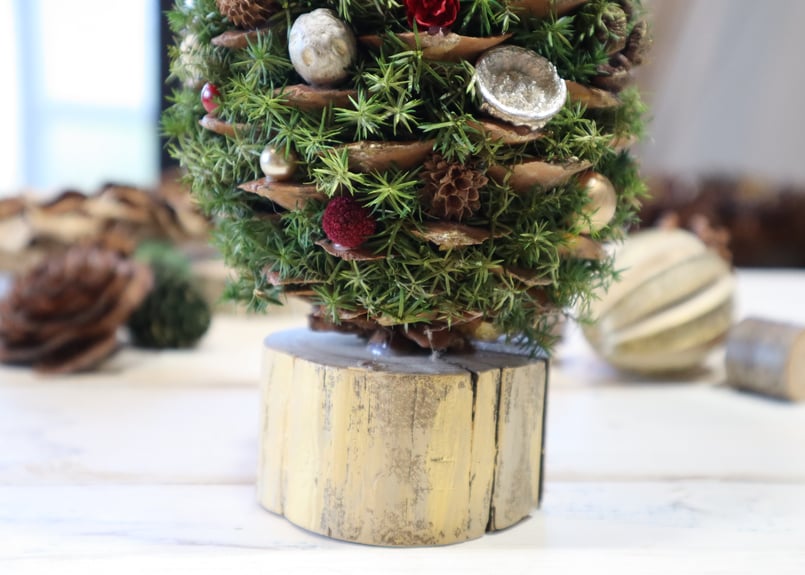 追加分残り1】新作♪天然シュガーパインコーンのツリー | TAUTOU LOCOCO