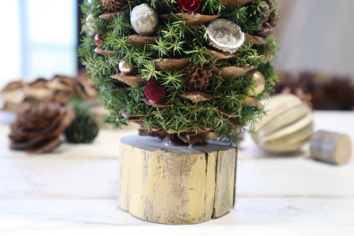 追加分残り1】新作♪天然シュガーパインコーンのツリー | TAUTOU LOCOCO