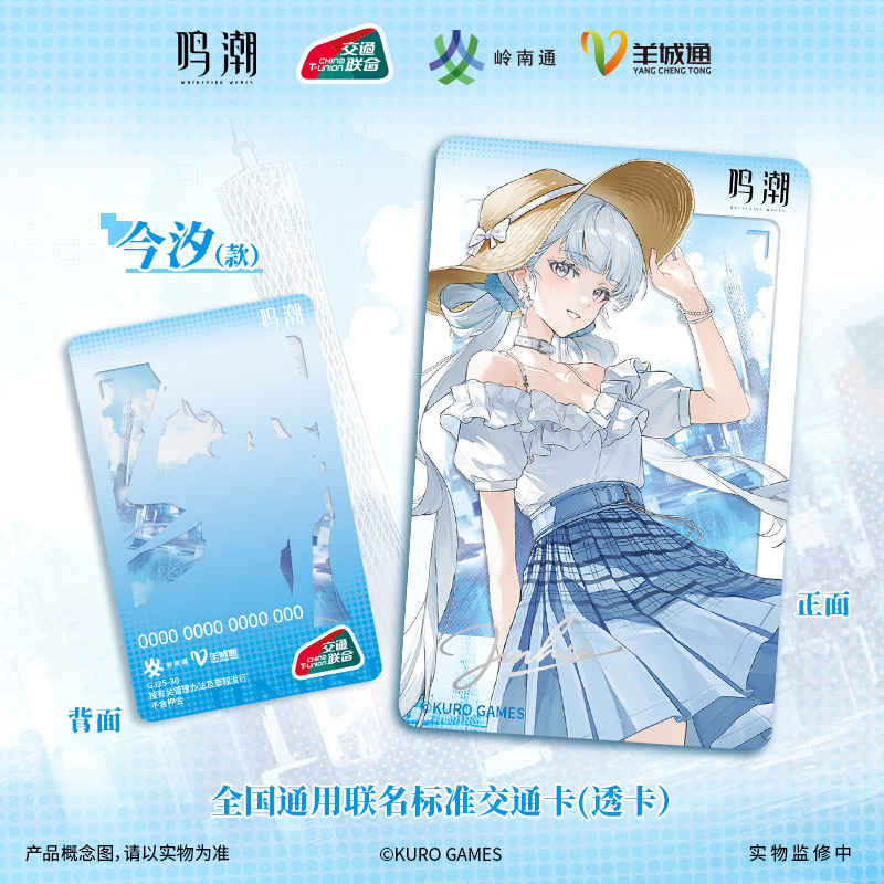大島かもめ先生　オーロラカード ※値段下げません Amazon.co.jp: 大島 かもめ: 本、バイオグラフィー、最新