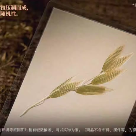 【重返未来1999】2601 砲火暫歇時 スケッチブック 65元 （予約220日以内発送）