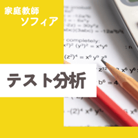 ソフィア テスト分析