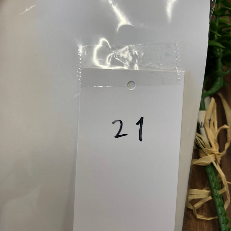 6a1fd222dad01e00457a1218