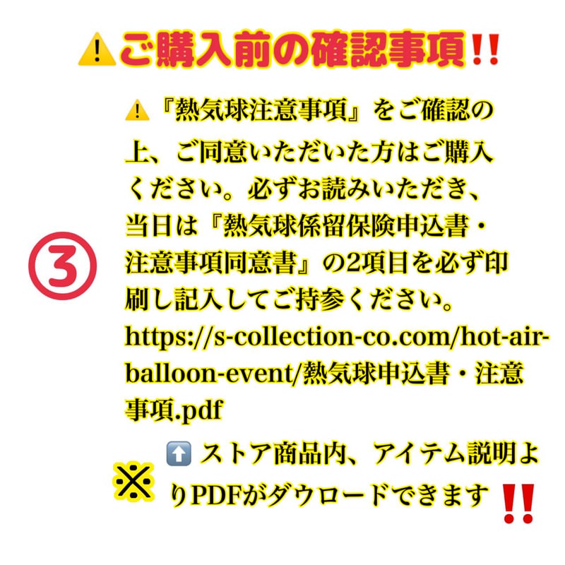 宮ヶ瀬桜まつり 4/11(土)】熱気球体験 11:00～17:00）〔チケット等は