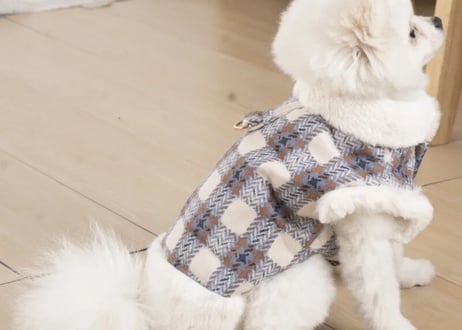 チェックコートpetウェア♡XＳ〜X X L