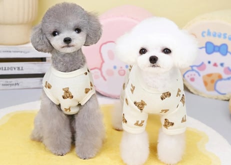 くまリボン柄pet服🧸🎀S〜XXL一部即納