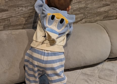 ドナルドボーダーcottonセットアップ73〜100