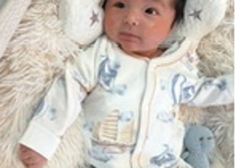 くまちゃんサーカスcottonロンパース59〜90