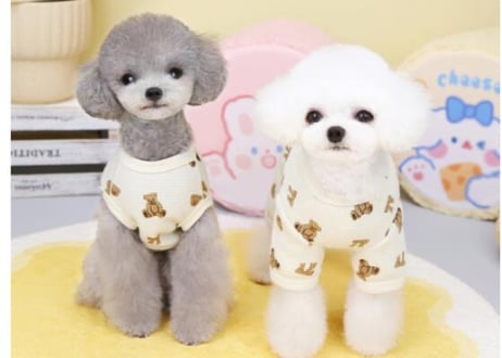 くまリボン柄pet服🧸🎀S〜XXL一部即納