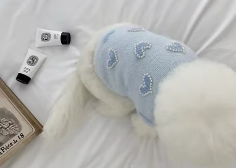 ロイヤルブルーハートニットpet服XS〜XL
