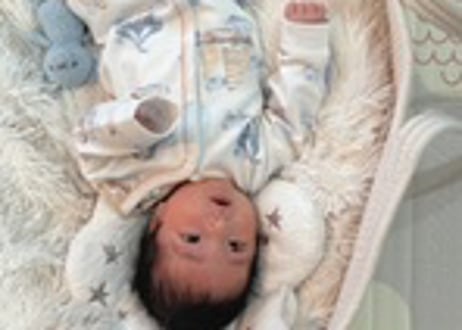 くまちゃんサーカスcottonロンパース59〜90