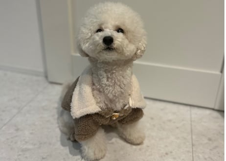 petウェアもこもこアウター♡XS〜X L一部即納