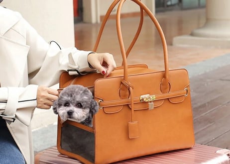 ペットキャリーバッグ各種🐶🐱