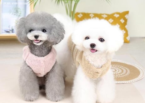 くまちゃんマスコットpetウェア♡S〜XX Lまで