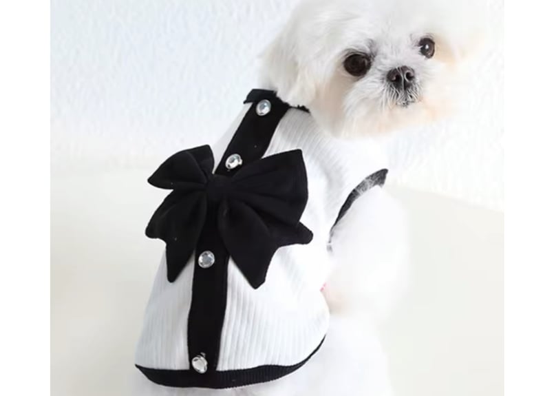 モノトーンpetドレス犬服 XS〜XL | Prince