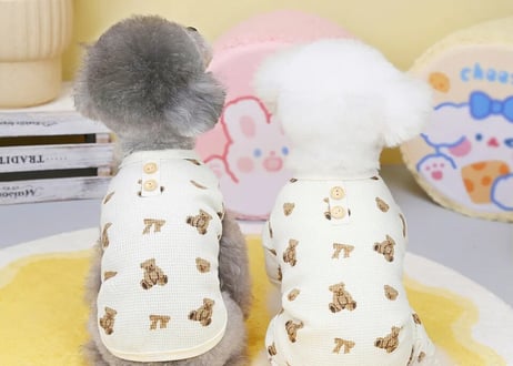 くまリボン柄pet服🧸🎀S〜XXL一部即納