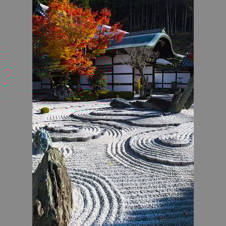 zen | STORES
