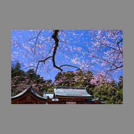 刹那 | STORES