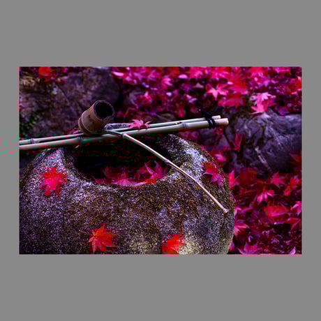 侘び寂び | STORES