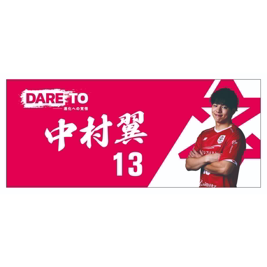 67e3977a65b82036655055fb