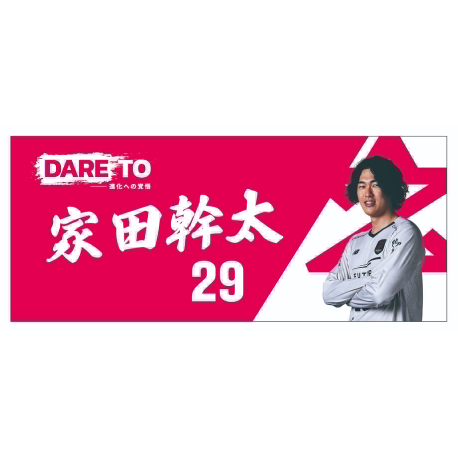 67e3977a65b82036655055fb