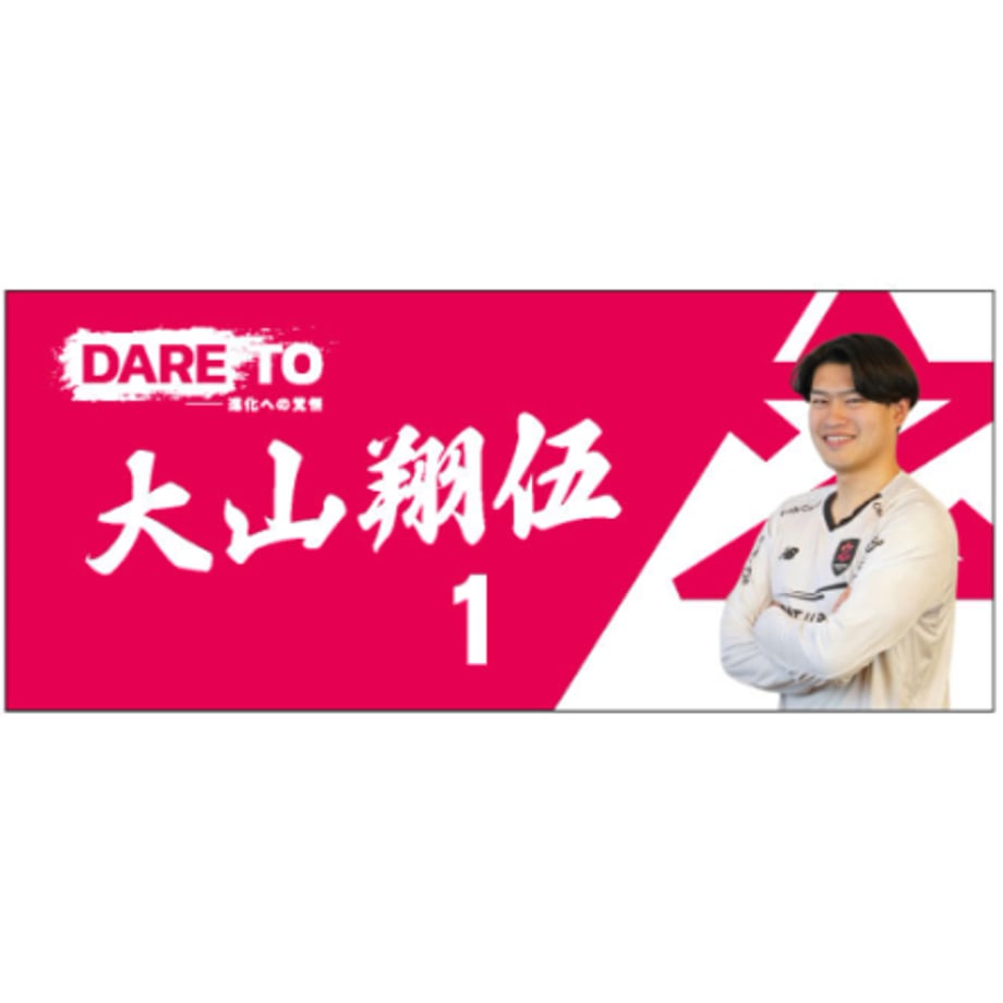 67e3977a65b82036655055fb