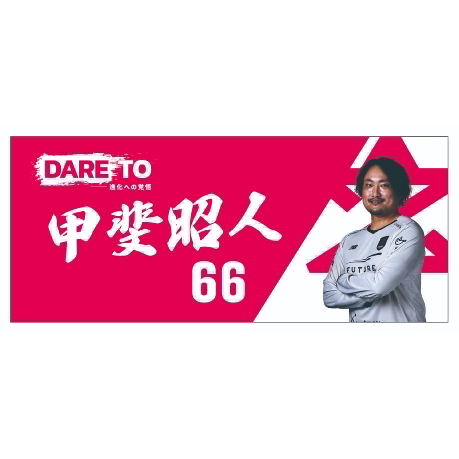 67e3977a65b82036655055fb