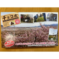 クランチ　桜ライン311応援 (クランチチョコ１０個入)