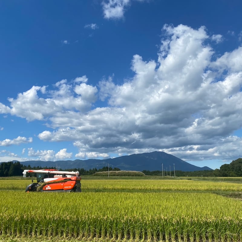 2023年産 岩手県産 あきたこまち 新米 通常価格5kg ¥2900→¥2500