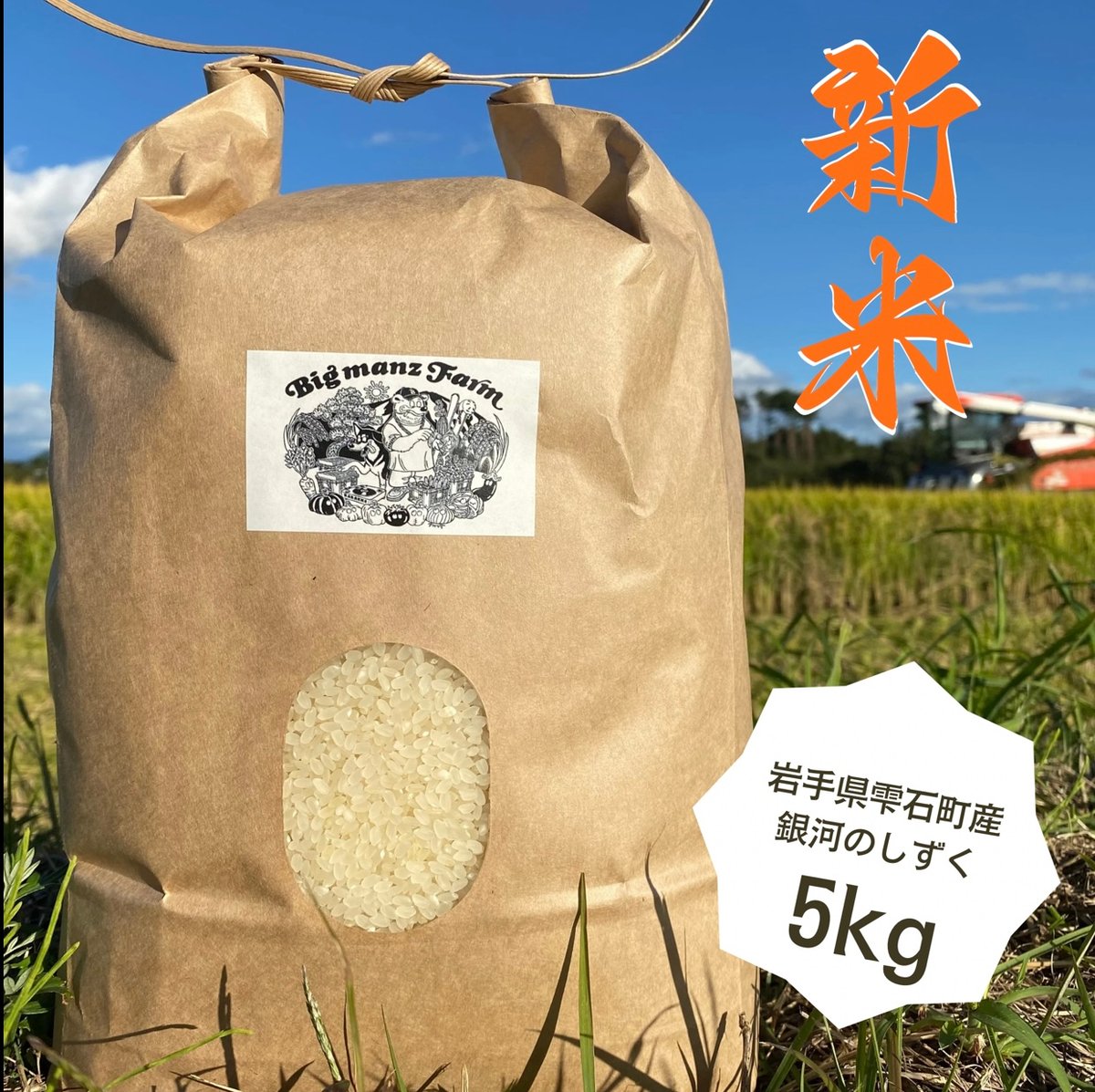 新米・岩手県産・銀河のしずく10kg　精米5キロ　玄米5キロ 送料無料 岩手県産 銀河のしずく 10kg（5kg×2袋）お米 白米 令和