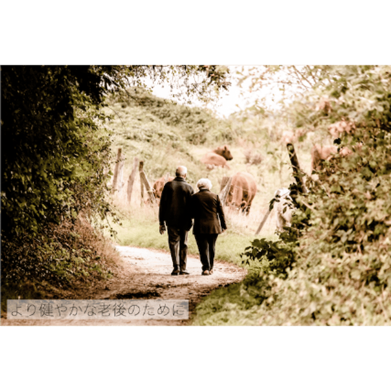 2個セット／マイクロナノバブル／2024新登場・80%節水、浄水カートリッジ9本 東レ トレビーノ 浄水器 カセッティ交換用カートリッジ 高除去 MKCMX2J