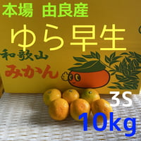 和歌山　由良産　ゆら早生　3S   10kg