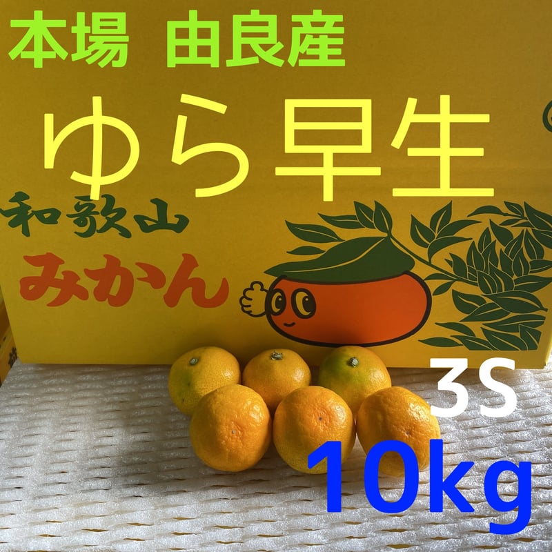 和歌山 由良産 ゆら早生 3S 10kg | 岸本農園