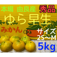 和歌山 由良産 ゆら早生 3S 10kg | 岸本農園