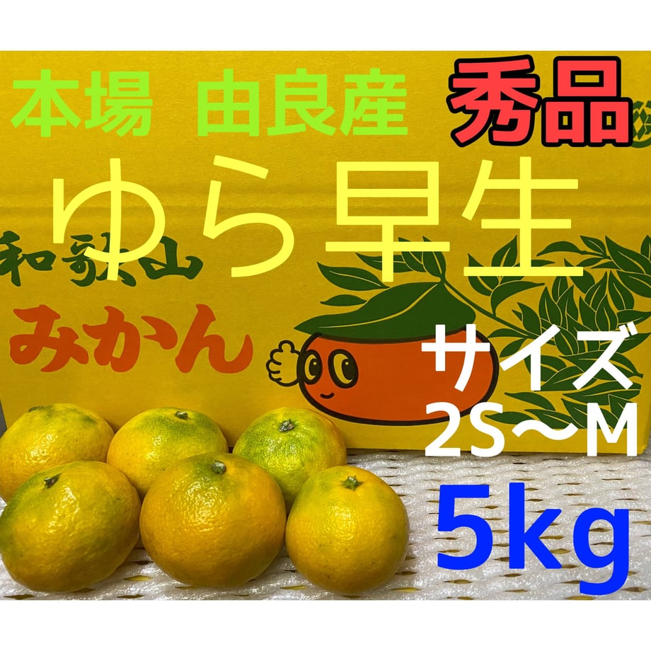 6536e05ae843870ca6dece38