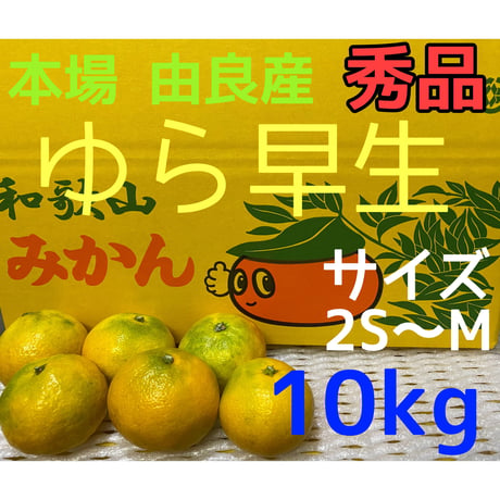 和歌山　由良産　ゆら早生　秀品   10kg