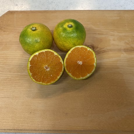 和歌山　由良産　ゆら早生　秀品   10kg