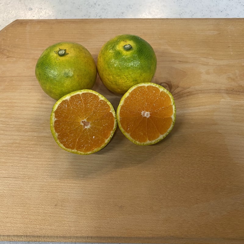 和歌山 由良産 ゆら早生 3S 10kg | 岸本農園