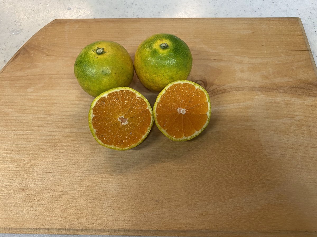 和歌山 由良産 ゆら早生 3S 10kg | 岸本農園